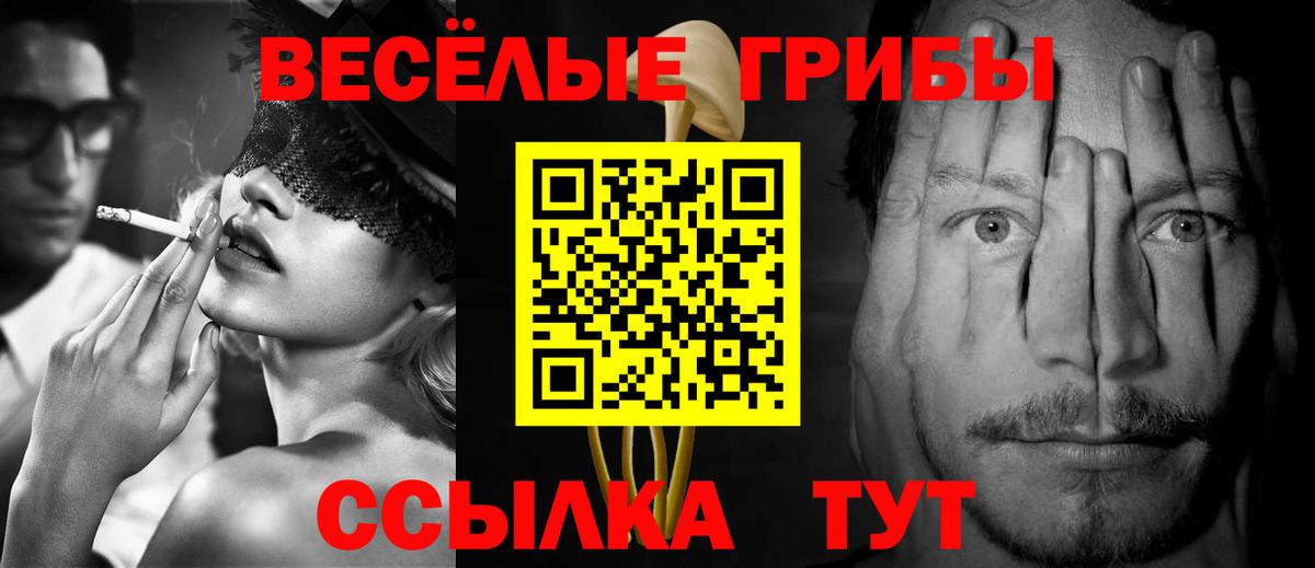 Псилоцибиновые грибы Psilocybe  Вход с VPN  Спасск-Дальний  Псилоцибиновые грибы Magic Shrooms 