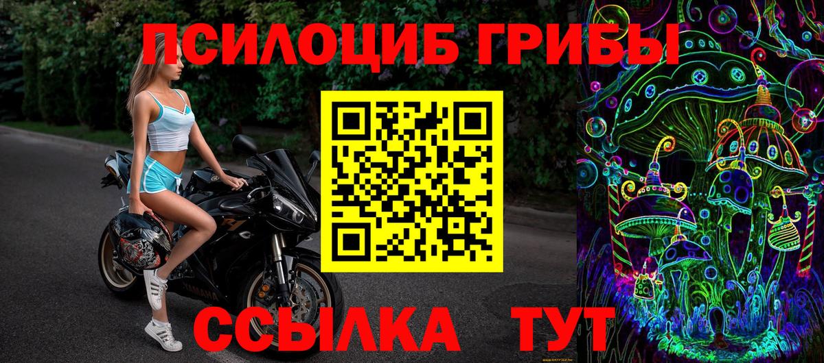 Псилоцибиновые грибы прущие грибы Спасск-Дальний
